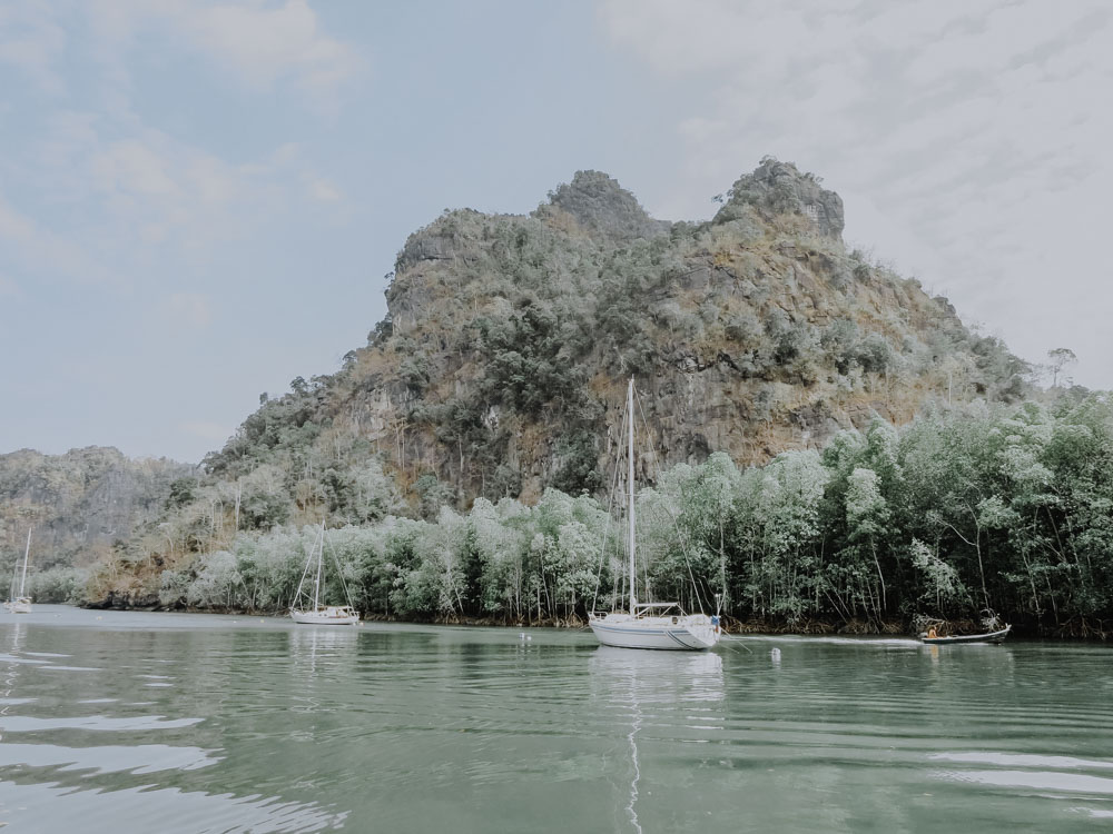 Mangrovenwald in Langkawi