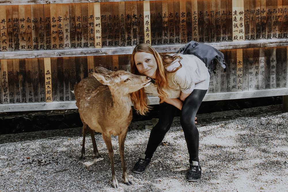 Nara's Deers und der Nara Park in Japan