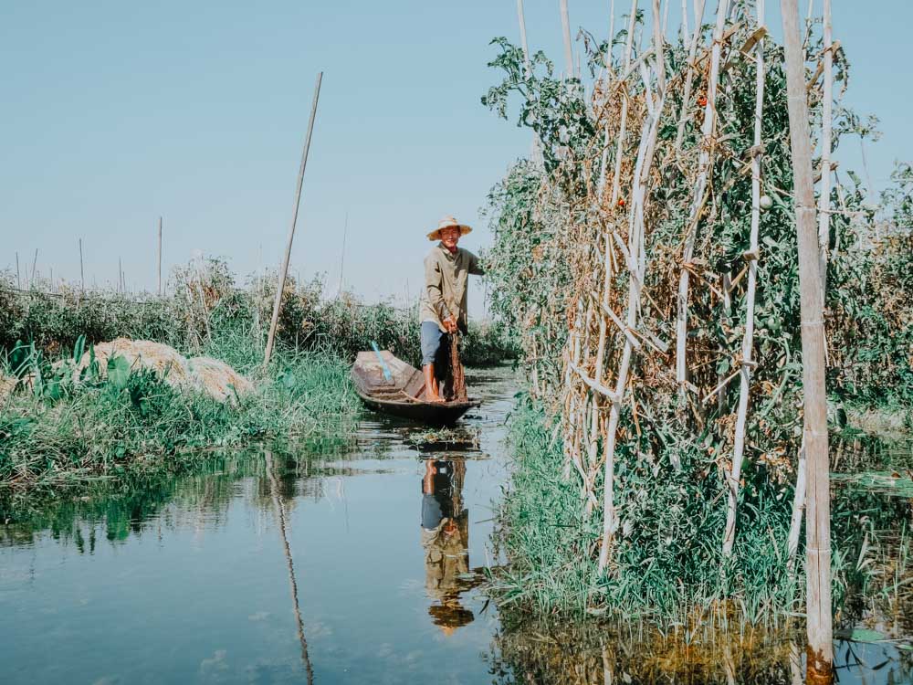 Must sees in Myanmar: Floating Gardens der Intha Inle Lake