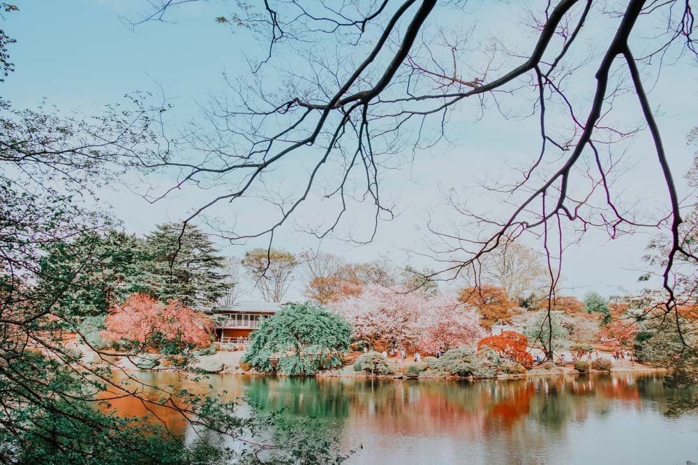 See im Shinjuku Gyoen National Park in Tokio