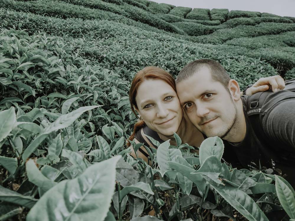 Cameron Highlands in Malaysia