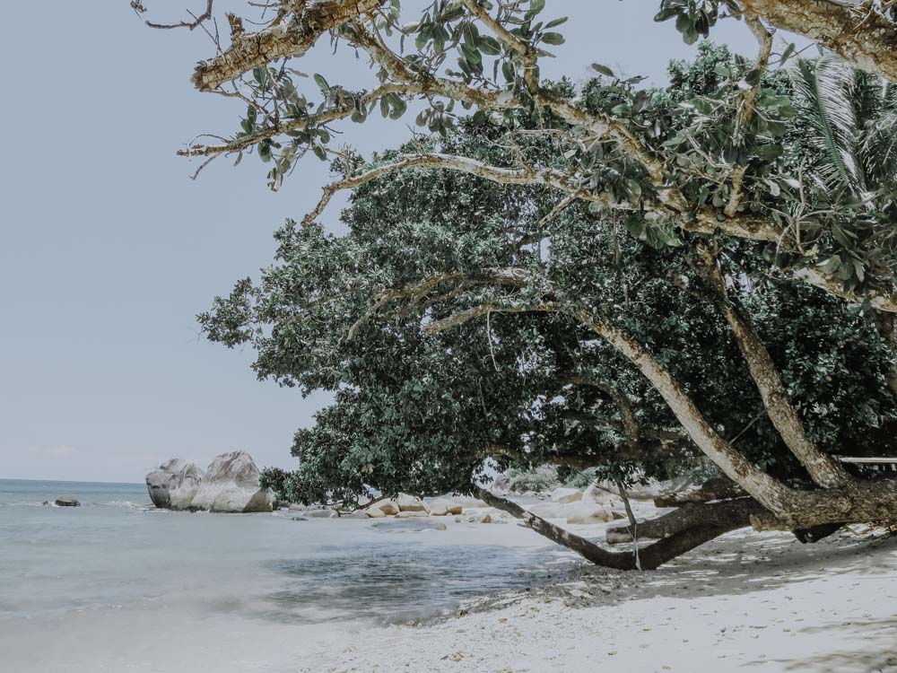 Beach Pulau Tioman in Malaysia