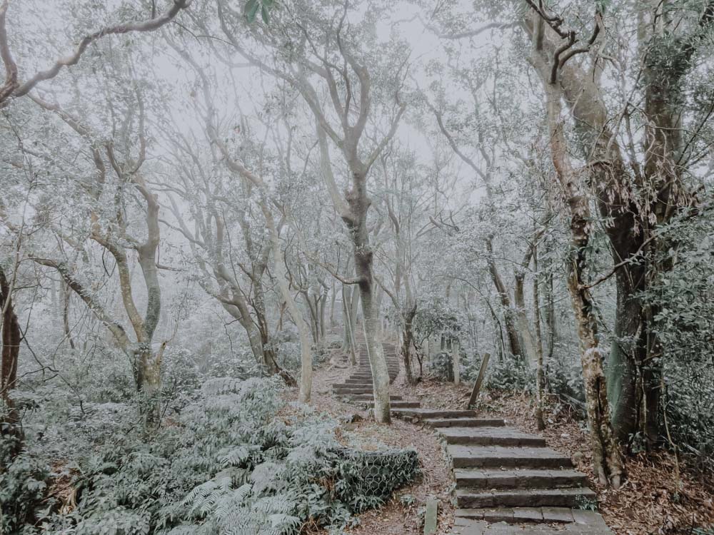 Mount Qixing Trail im Yanmingshan National Park in Taiwan