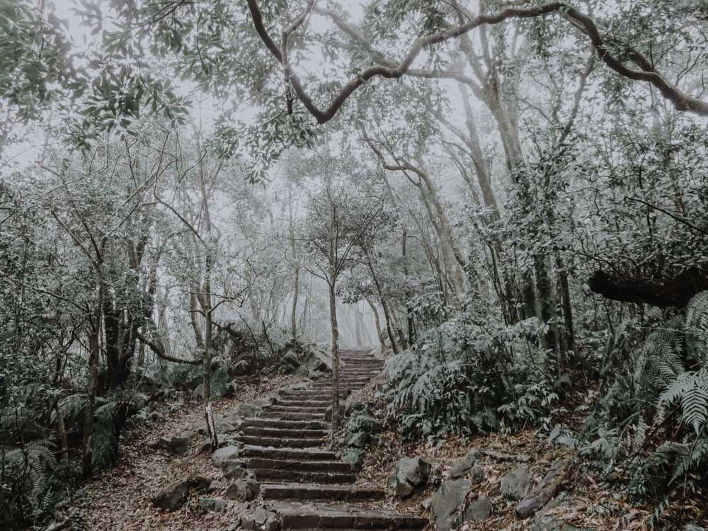 Wanderweg zum Qixingshan im Yangmingshan Nationalpark im Norden von Taiwan