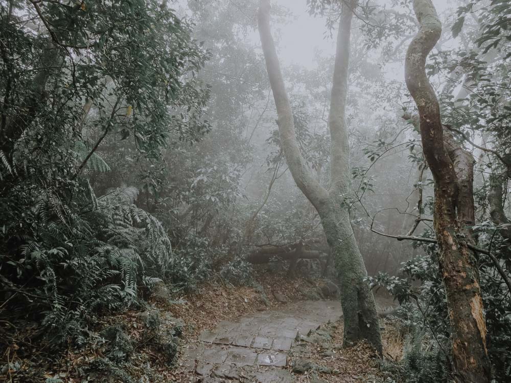 Mount Qixing Trail bei Nebel