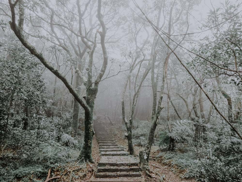 Yangmingshan National Park - Mount Qixing Trail