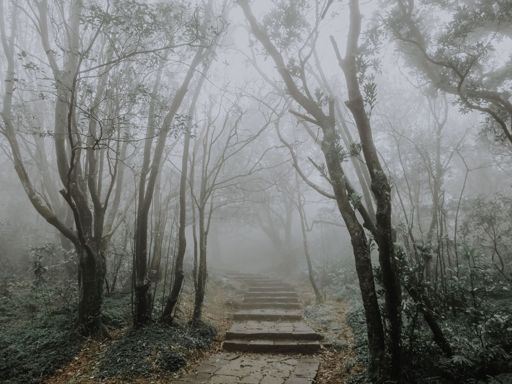 Mount Qixing Trail im Yangmingshan National Park