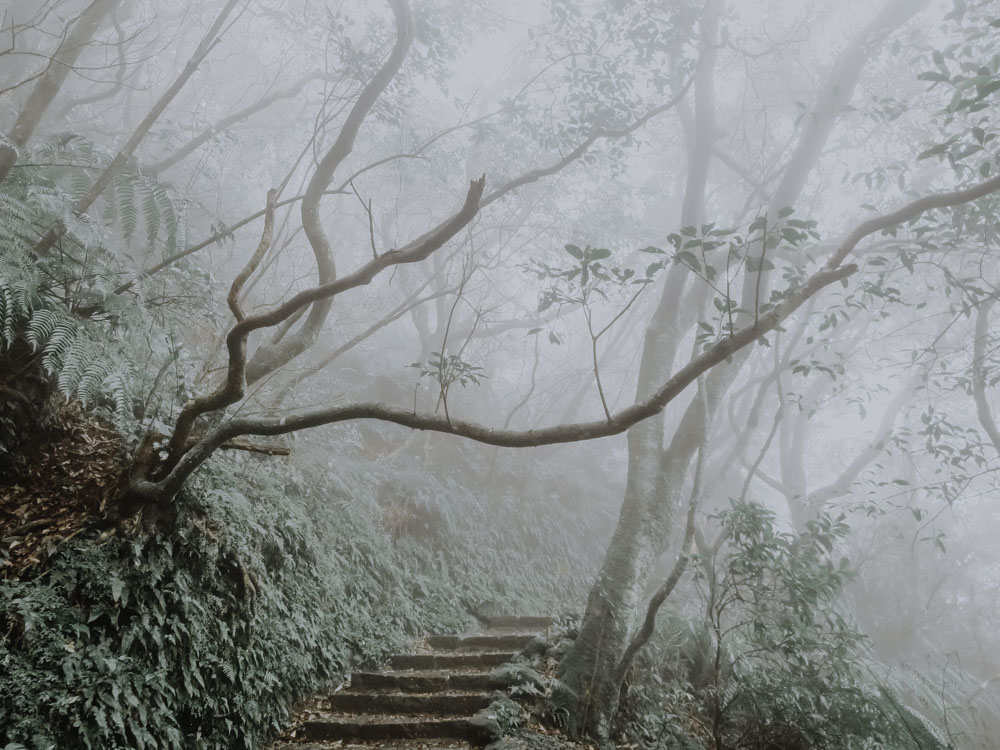 Yangmingshan National Park - Mount Qixing Trail