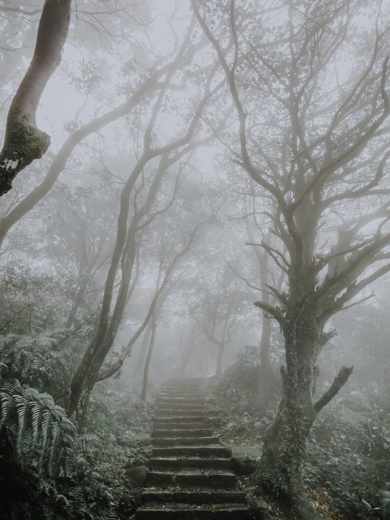 Mount Qixing Trail bei Nebel