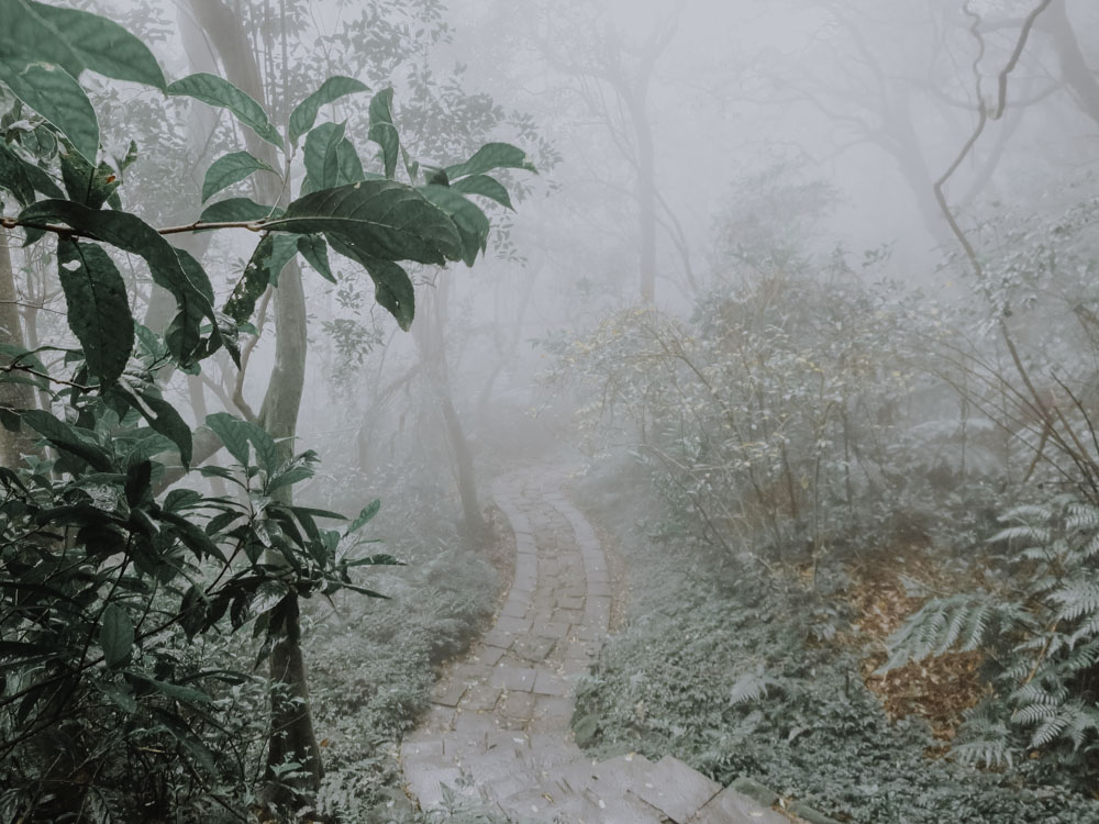 Nationalpark Yangmingshan im Norden von Taipeh