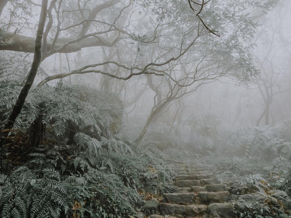 Rainy Weather Activities in Taipei - Yangmingshan National Park