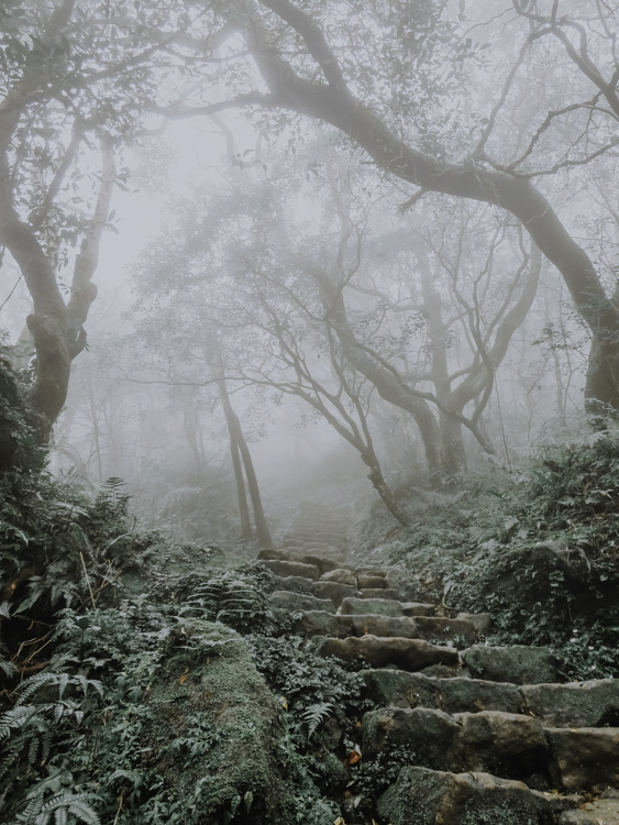 Mount Qixing Trail im Yangmingshan National Park in Taiwan