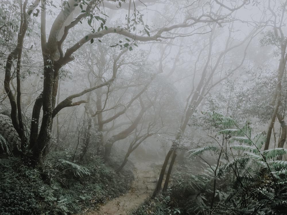 Regenwetteraktivitäten in Taipei - Yangmingshan National Park