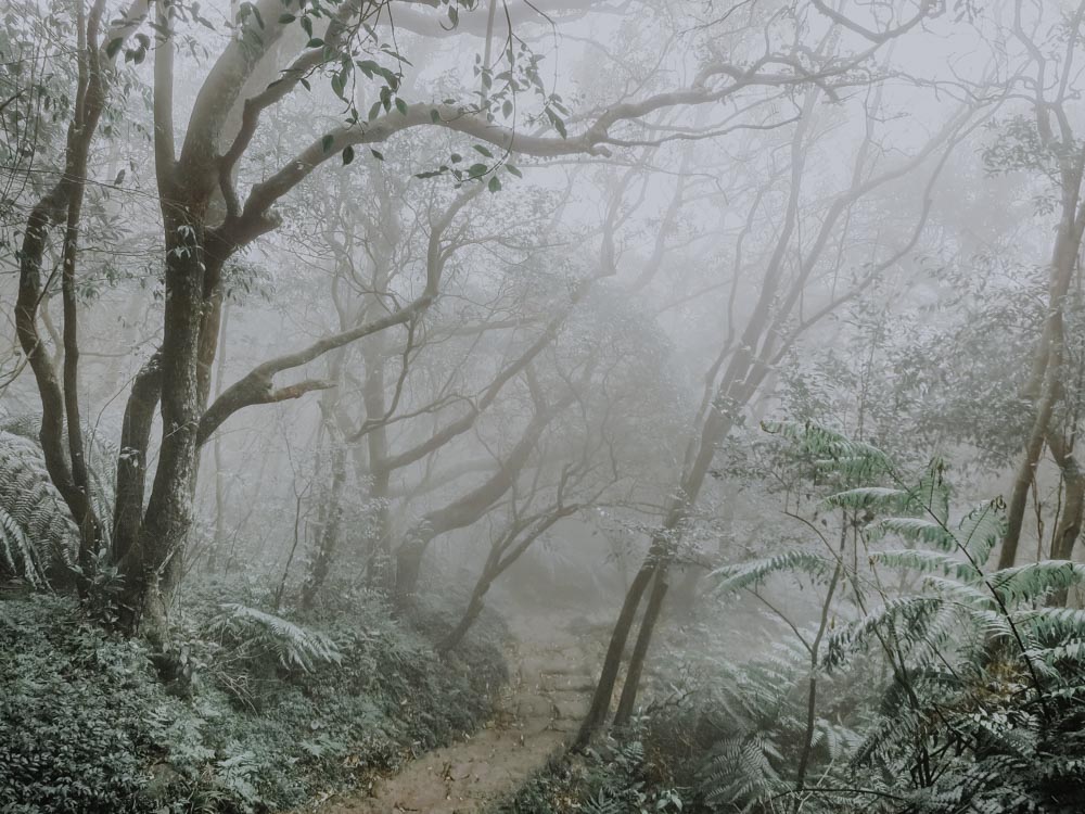 Yangmingshan National Park - Mount Qixing Trail