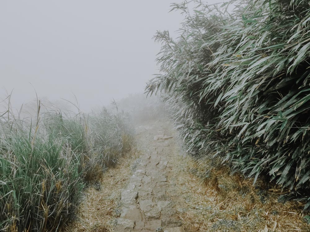 Qixingshan Hiking Trail in Taiwan