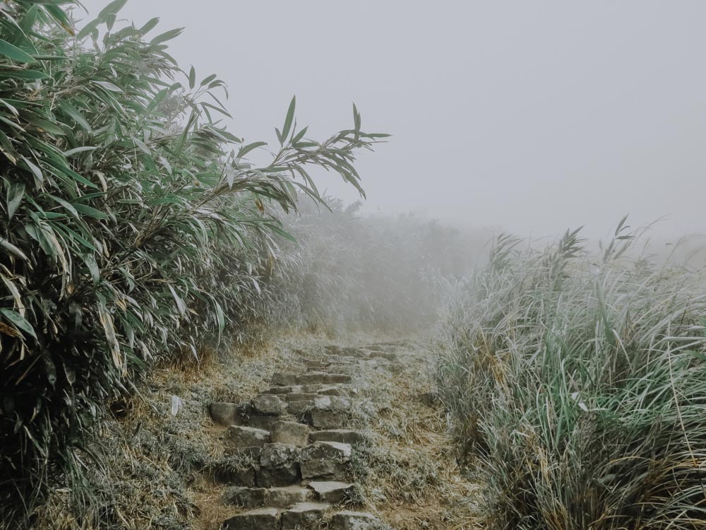 Qixingshan Hiking Trail in Taiwan