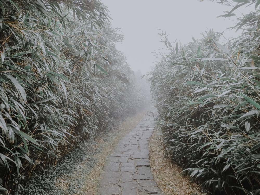 Qixingshan Hiking Trail in Taiwan