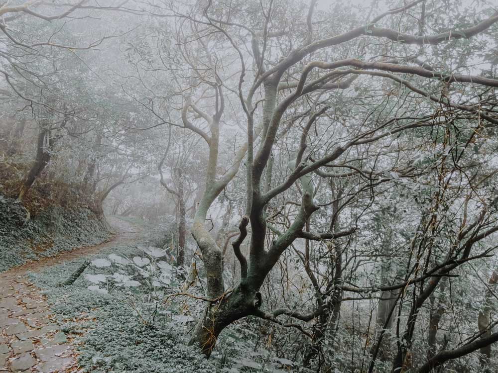 Yangmingshan National Park in Taiwan