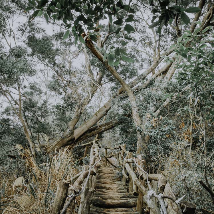 Hiking Trails in Taichung