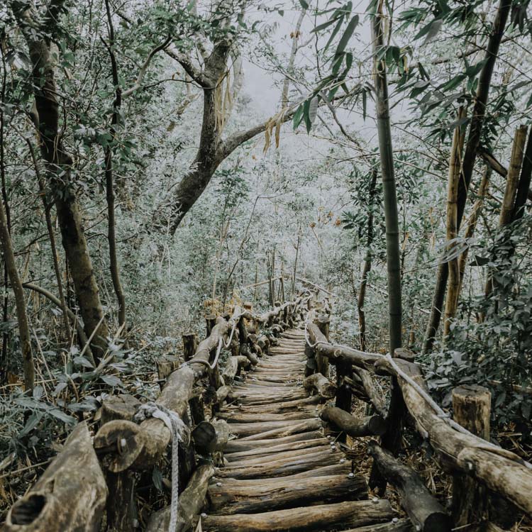 Hiking in Taichung