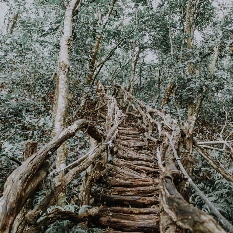 Hiking Trails in der Dakeng Scenic Area