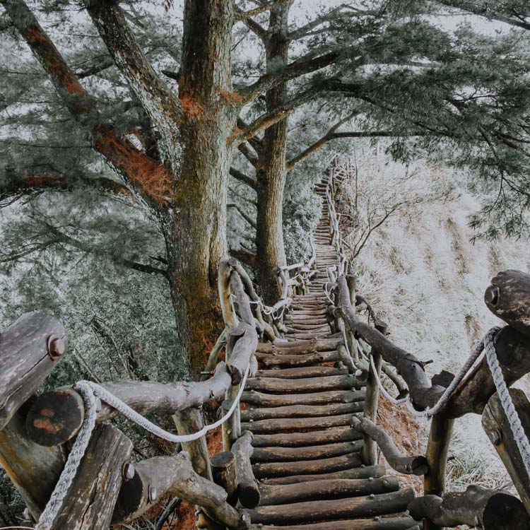 Hiking Trails in Taiwan