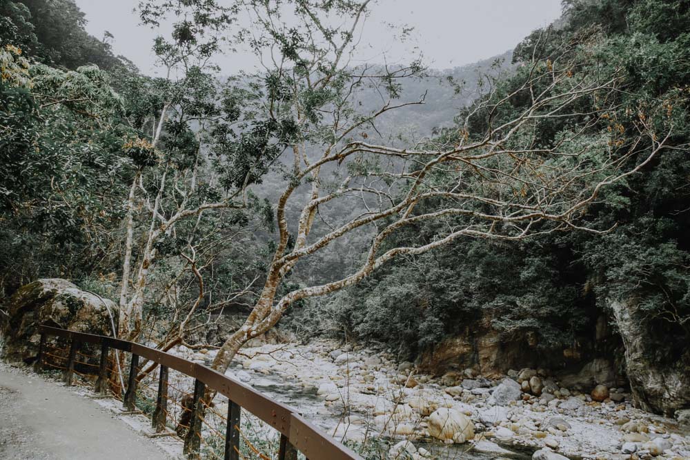 Die schönsten Trails der Taroko Schucht