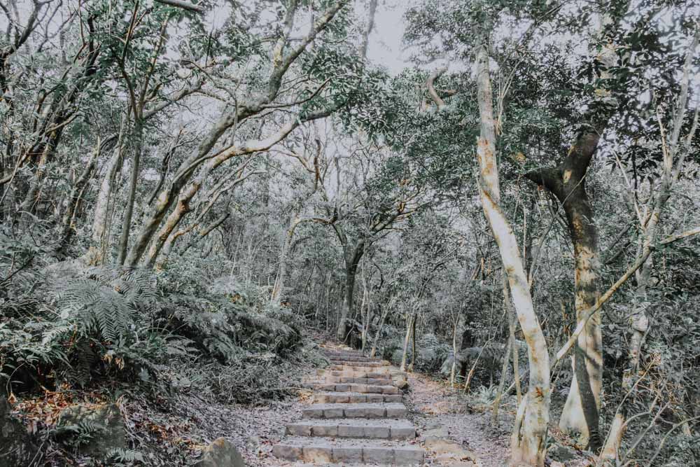 Nationalpark Yangmingshan im Norden von Taipeh