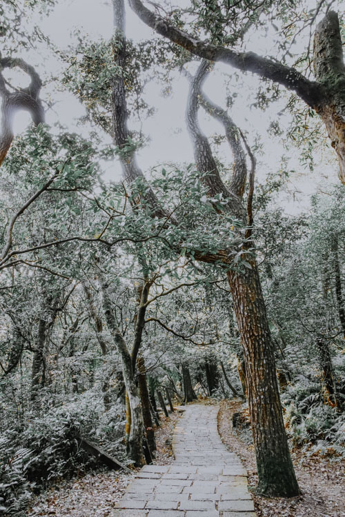 Yangmingshan National Park - Mount Qixing Trail