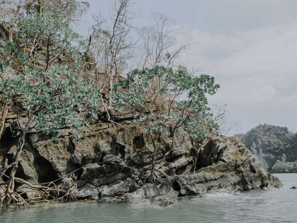 Kilim Geoforest Park auf Langkawi