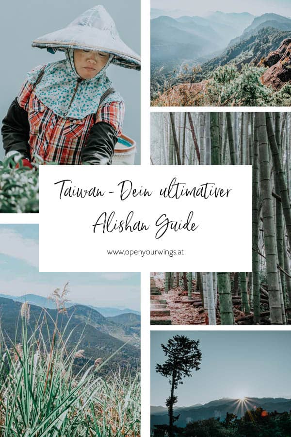 Pin it! Taiwan - Dein ultimativer Alishan Guide