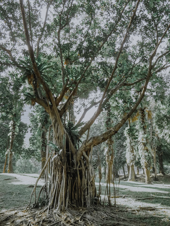 Kuala Lumpur - KLCC Gardens