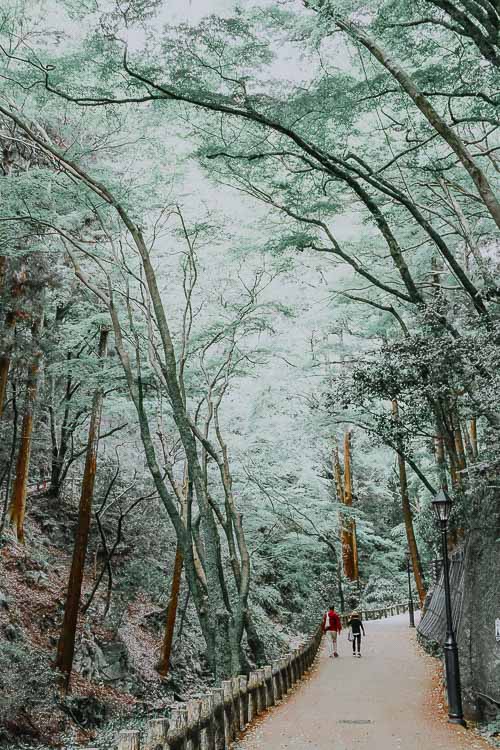 Japan - Off the beaten Track - Open your Wings