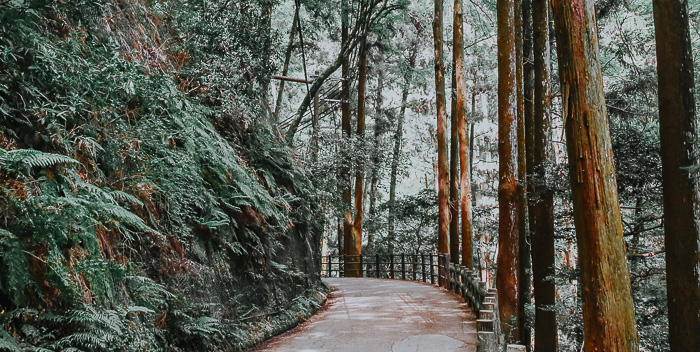 Japan - Off the beaten Track - Open your Wings